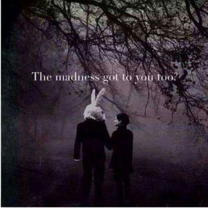 Meet your Posher, Ginger